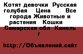 Котят девочки “Русская голубая“ › Цена ­ 0 - Все города Животные и растения » Кошки   . Самарская обл.,Кинель г.